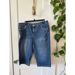 INC denim woman slim tech fit women’s size 14w blue jean shorts